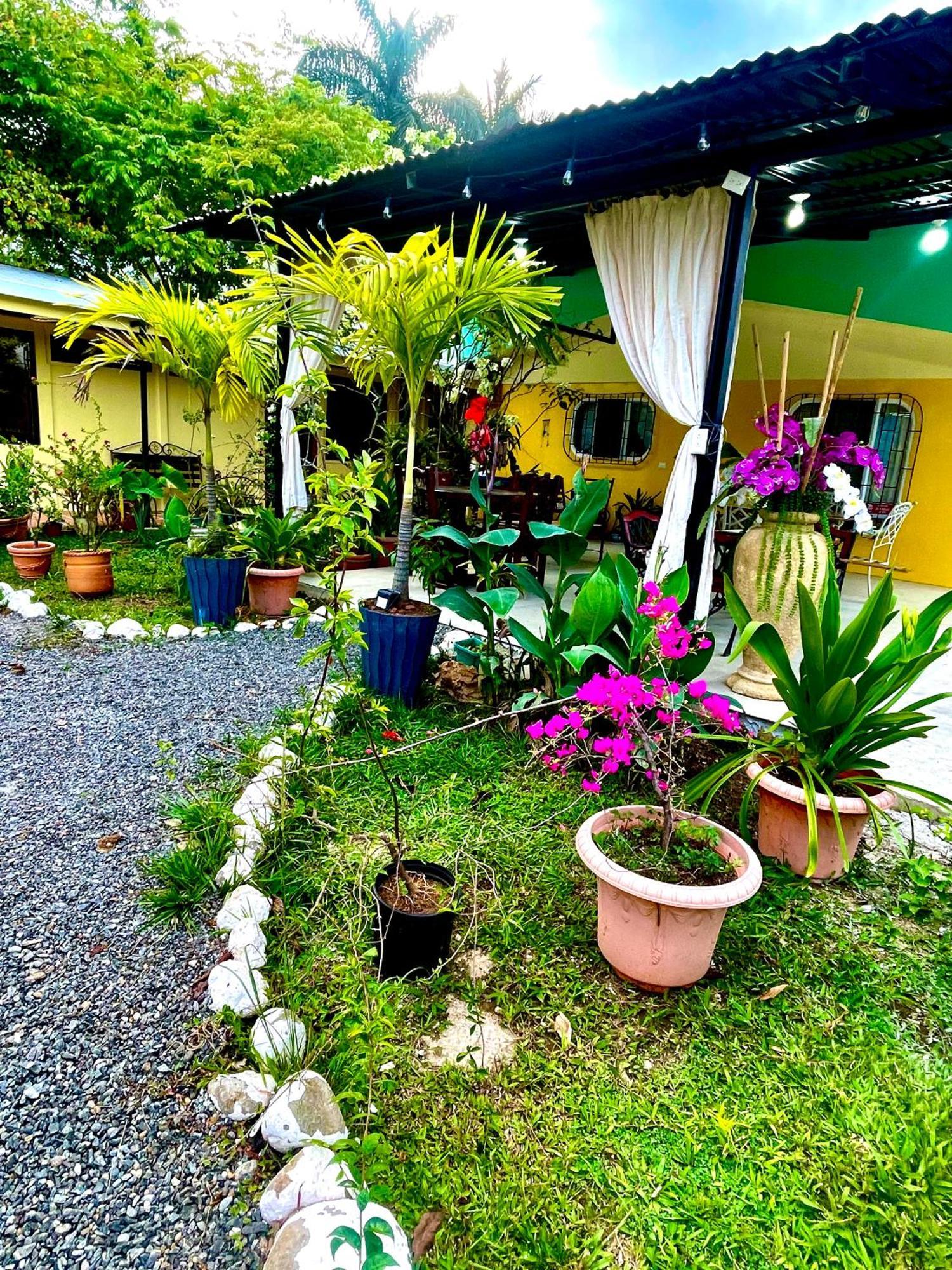 Hotel Tierra De Volcanes La Fortuna Exteriör bild