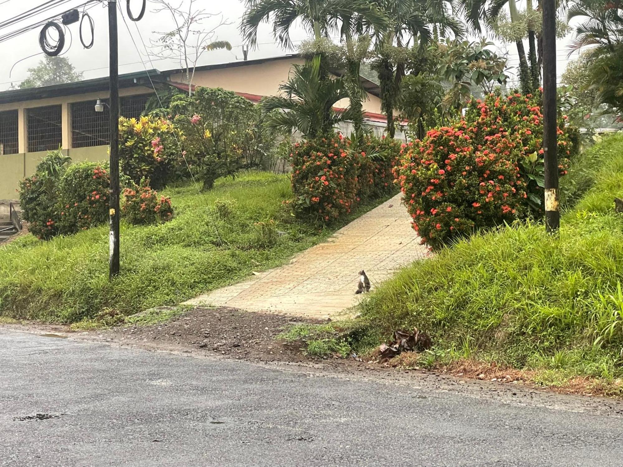 Hotel Tierra De Volcanes La Fortuna Exteriör bild